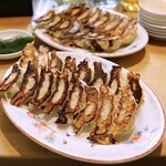 ギョーザ泰三 - 焼き餃子(1人前8個 495円×4人前)