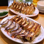 ギョーザ泰三 - 焼き餃子(1人前8個 495円×4人前)