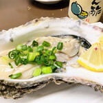 有限会社桝屋酒店   - 殻付き牡蠣