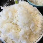 ごはん屋 たこ八食堂 - 