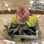 丸太町やんがす - 