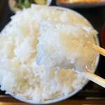 ごはん屋 たこ八食堂 - 