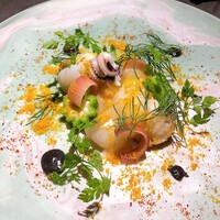 TOSAGE - 
