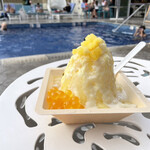 Island Vintage Shave Ice - 