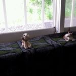 尚古 - 【2013年5月ランチ撮影】【2013年5月ランチ撮影】2F席。少し模様替えされたかな？