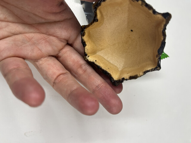 亀の子せんべい本舗大浪 萩荘本店 - 一ノ関（和菓子）の写真