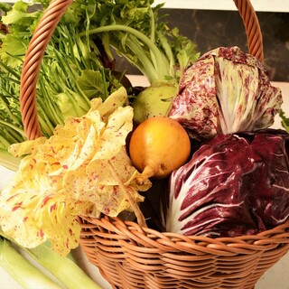 [Local production for local consumption/Nishio organic vegetables]