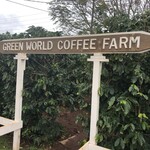 Green World Coffee Farm - 