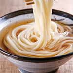 Udon noodles