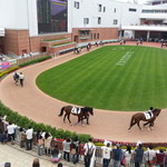 あじさい - 2階からパドック