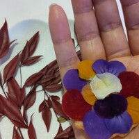 ラ・トゥーエル -  ラ・トゥーエル -