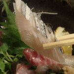 隠れ家Dinning　味杜 - 太刀魚