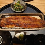 Unagi Yondai Me Kikukawa - 一本重４９５０円