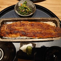うなぎ四代目菊川 ミッドランドスクエア 名古屋本店 - 一本重４９５０円