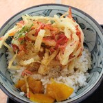 Kashiwaya - ミニかき揚げ丼