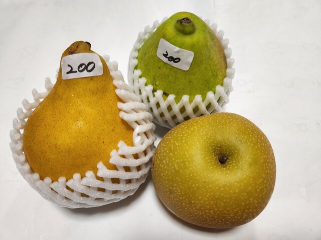 果樹園 ニトリ観光果樹園(北海道)の情報｜ウォーカープラス