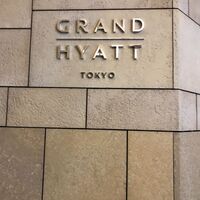 フィオレンティーナ - 