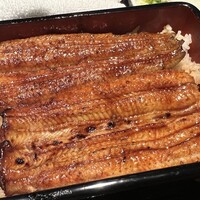 うなぎ 目白ぞろ芽 - 共水うな重