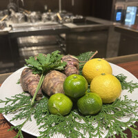 スガラボヴィー - 