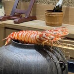 鮨旬美西川 - 車海老