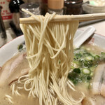 長浜ラーメン 丸羅とんこつ - 2023.1.25  本格とんこつ