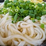 Ohara Udon - かけうどん(大 2玉)