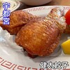 宇都宮餃子館 健太餃子 東口店