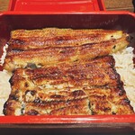 Shinjuku Unagi Kikukawa - 