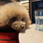 THE NUTS EXCHANGE - この日のシェリ