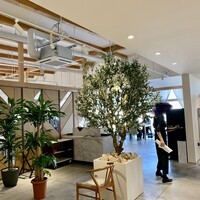 GLICINE di ACQUA PAZZA - 店内