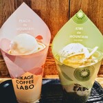 ミカゲ コーヒー ラボ - ピーチ デ マウンテン、キウイ デ マウンテン