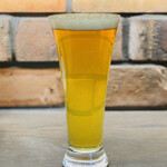 ニュースターブリュワリー - 