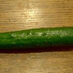 ディオ - きゅうり (税抜)82円 (2023.02.01)