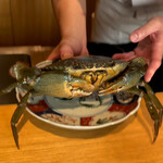 日本料理FUJI - 道満蟹の顔見せ