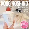 kobo HOSHINO kakuouzan