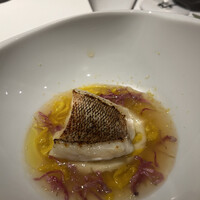 レフェルヴェソンス - 