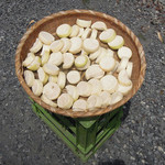 一茶 - 大根を天日干し