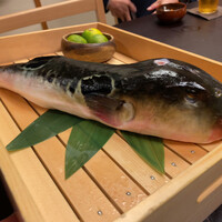 とらふぐ専門 ふぐ中俣 - 