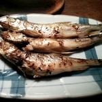 酒庵 五醍 - シシャモ