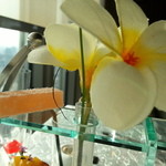 オリエンタルラウンジ - グミ