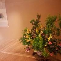 かぐら坂 志満金 - 