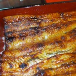 うなぎ 魚政 - うな重、ブランド鰻(坂東太郎) 特上