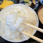 ごはん屋 たこ八食堂 - 