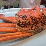 寿司栄 - 黄金がに！