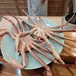 福井割烹 望月 - 