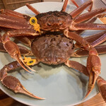 福井割烹 望月 - 越前がに(2023年1月)