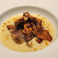 フォリオリーナ・デッラ・ポルタ・フォルトゥーナ - 