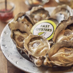 FAST OYSTERS - 