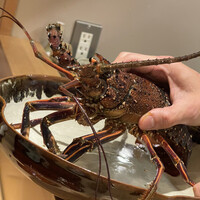 日本料理 かしづき - 