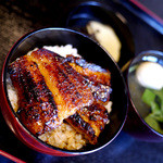 紀文 - VIP紀行2013　ミニうな丼（950円）